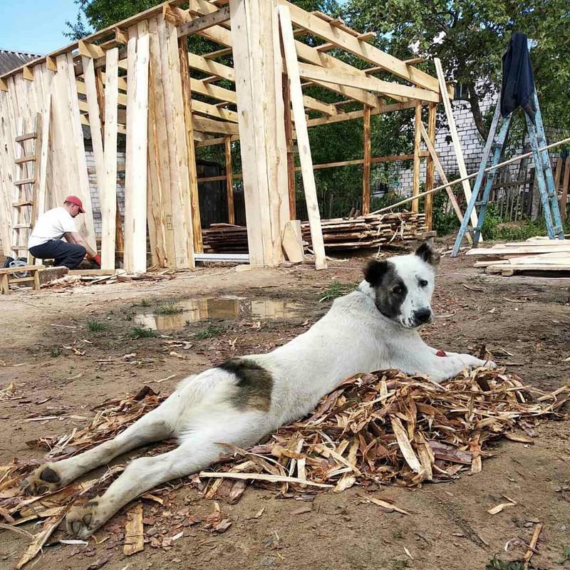 103617762_146754703633787_7259261117490870772_n