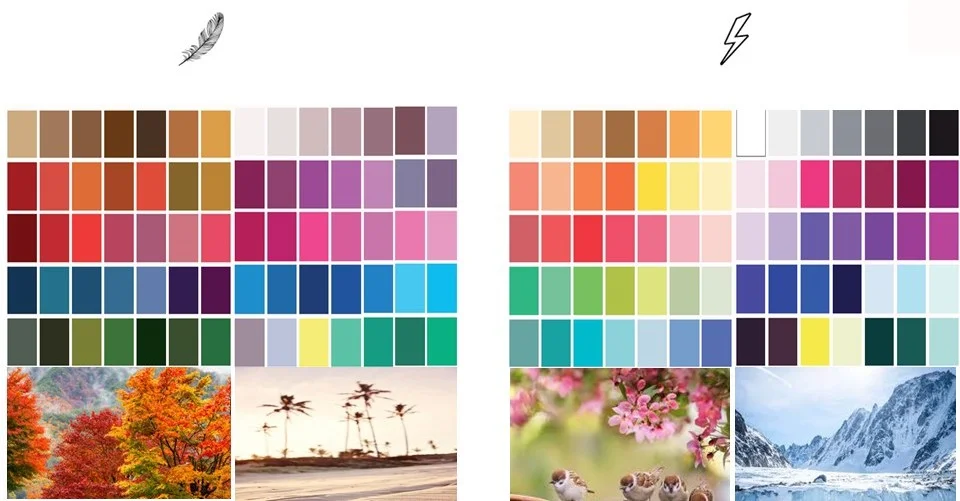 Nuancier comparatif des couleurs de colorimétrie. À gauche, la palette des Saisons Douces (Automne Doux et Été Doux) avec des couleurs atténuées par le gris. À droite, la palette des Saisons Lumineuses (Printemps Lumineux et Hiver Lumineux) avec des couleurs pures et saturées.