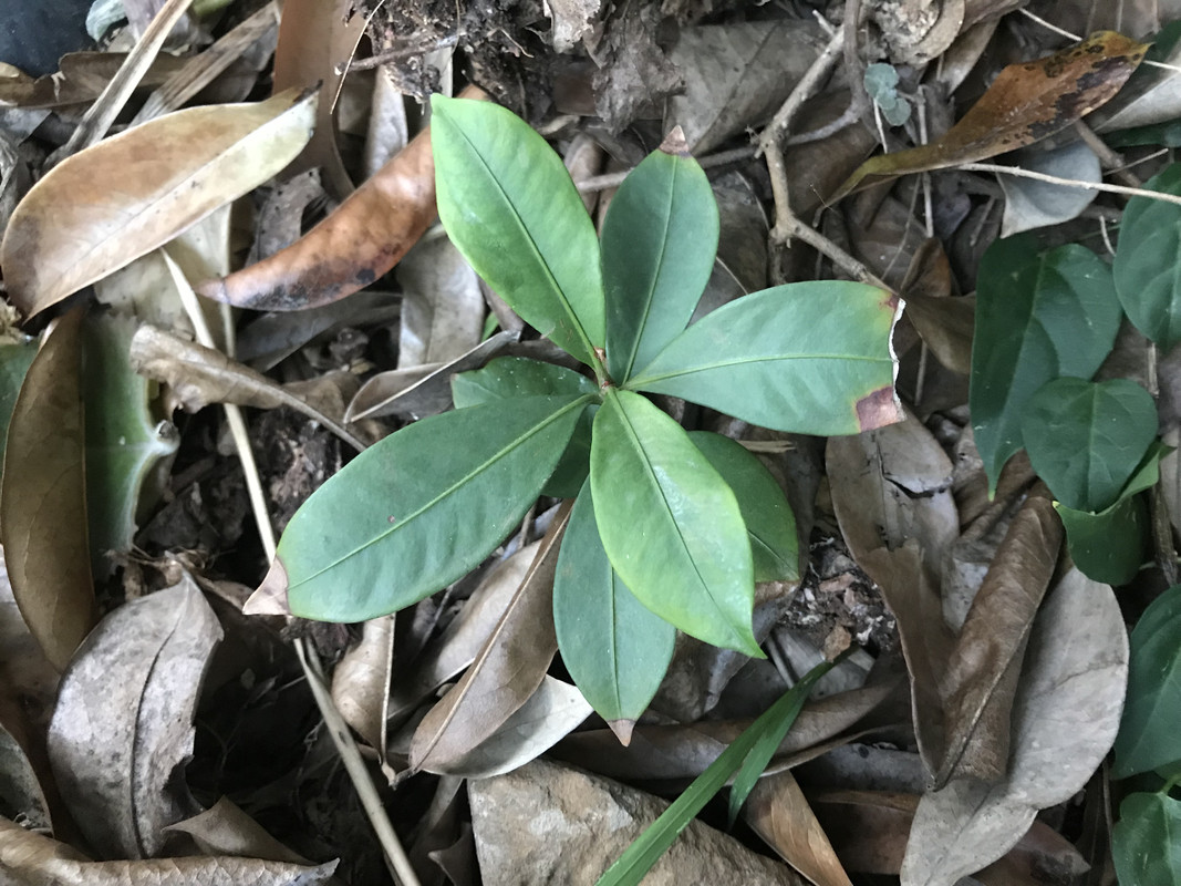 03261A47-C2D1-49D7-9151-A297408E9855