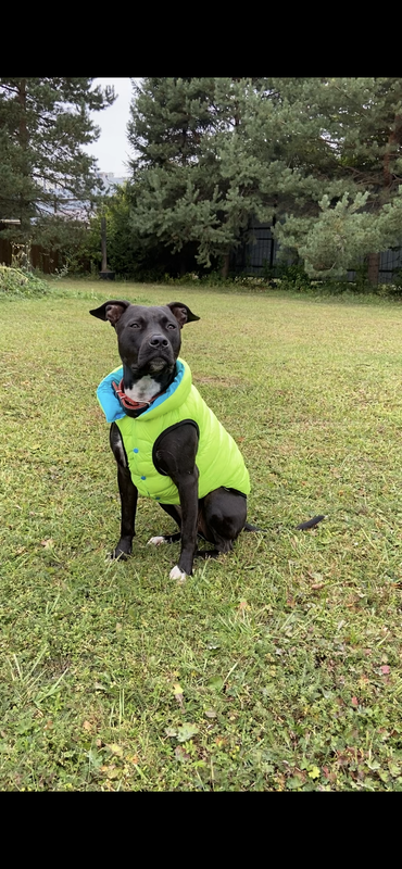 4FBA4C8F-317F-43E1-B789-28FED7E71AA4