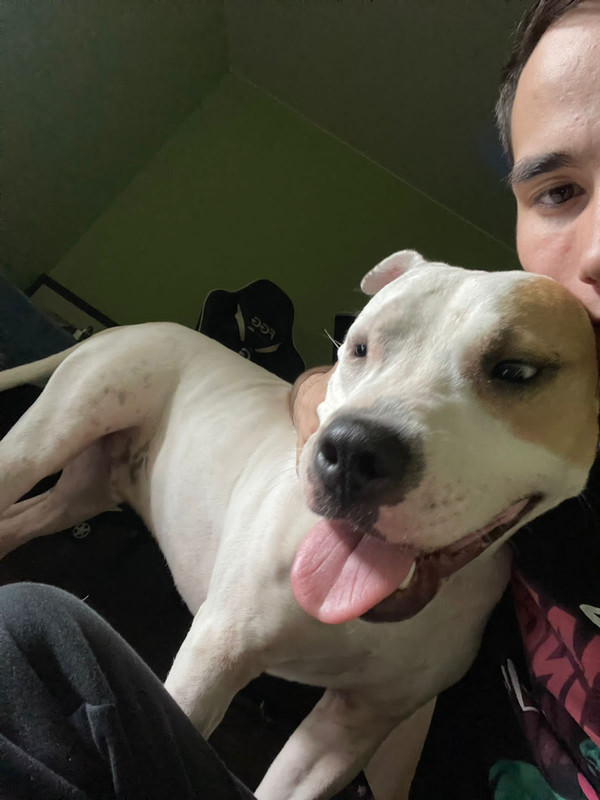 F305718A-401F-4136-8C63-512642CCA795