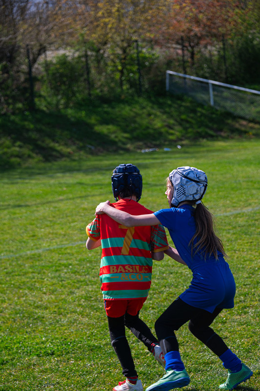 tournoi-de-latlantique-2026-adonis-griffon-181-55180389327-l