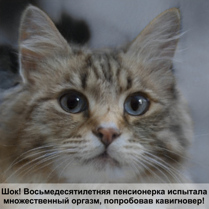 кошка лысеет и чешется