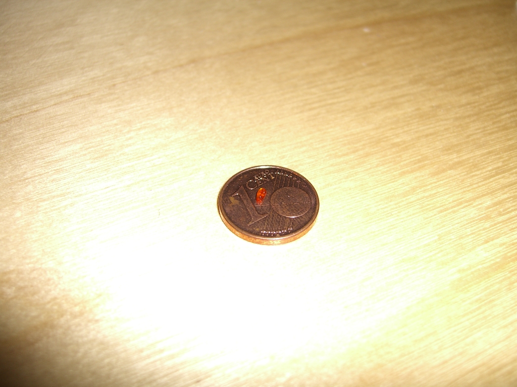 Tamiya S2000 nasosampa (6)