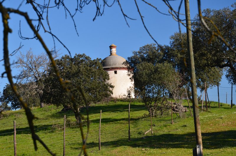 PARQUE NACIONAL DE MONFRAGÜE-2020/2023 - EXTREMADURA Y SUS PUEBLOS -2010-2023 (154)