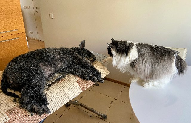 BCDFCC65-0225-417-E-9771-FE761-ED09-AB2.