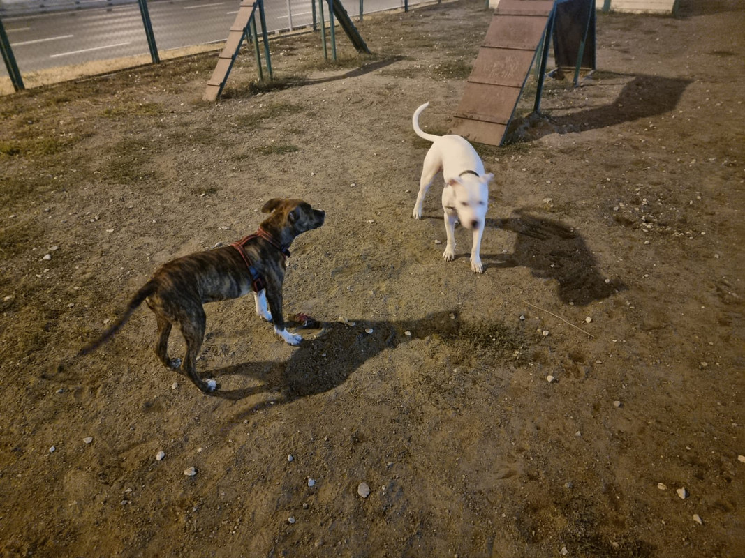 84567B7A-5EE8-4E38-AC16-C8838CFD7E4D