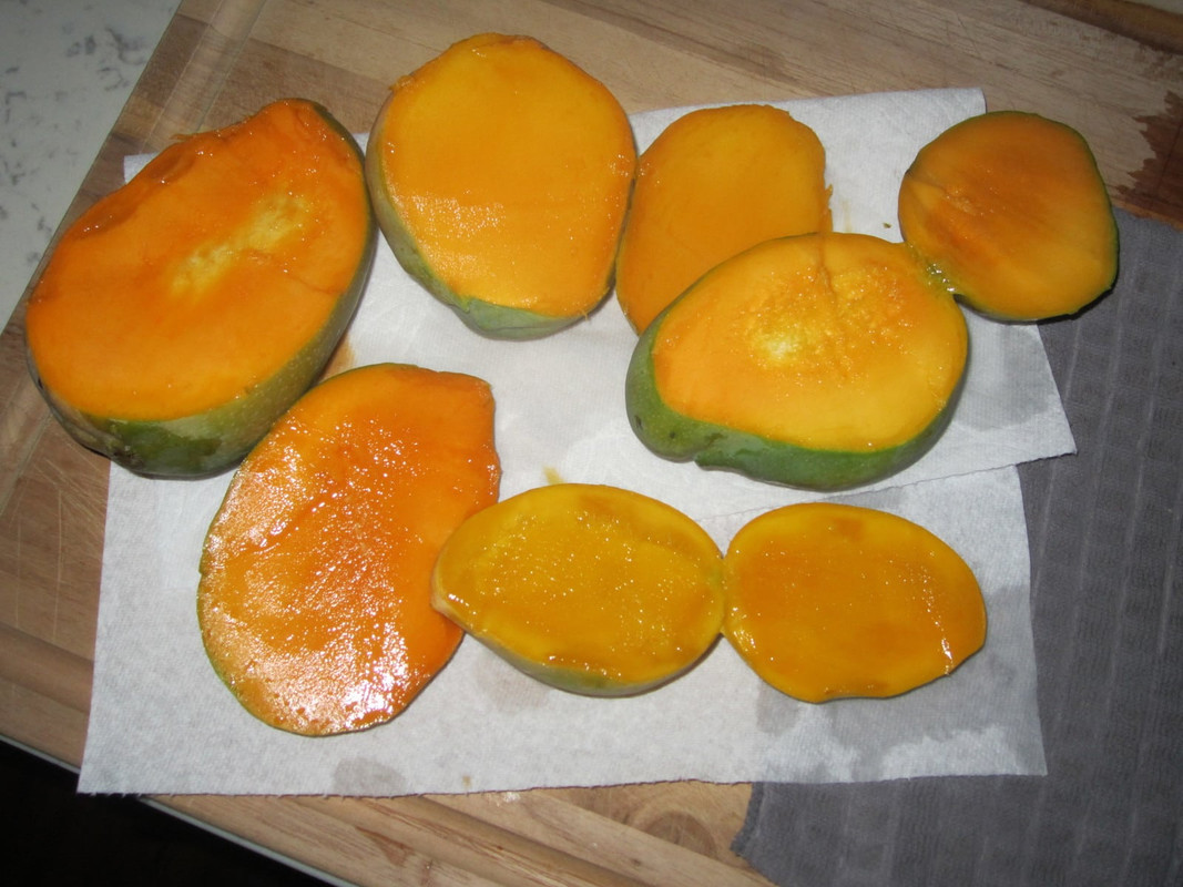 IMG_8709