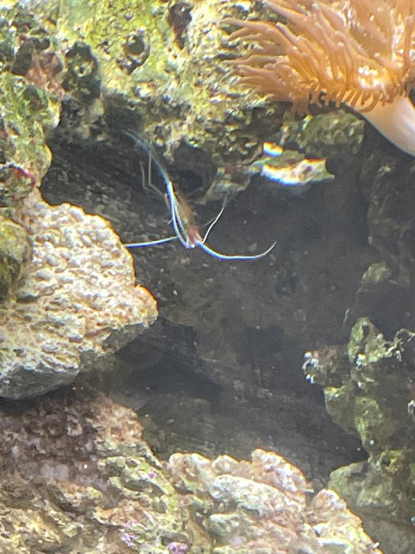 WhatsApp Image 2021-11-02 at 13.38.14 (7)