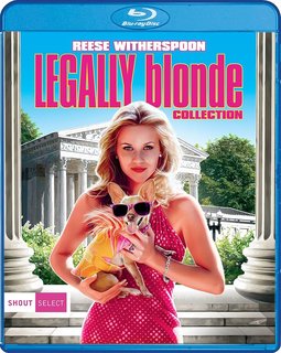 Ufficialmente Bionde (2009) WebDL 1080p AC3 ITA - ENG