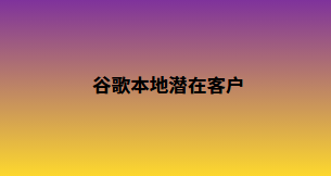 谷歌本地潜在客户