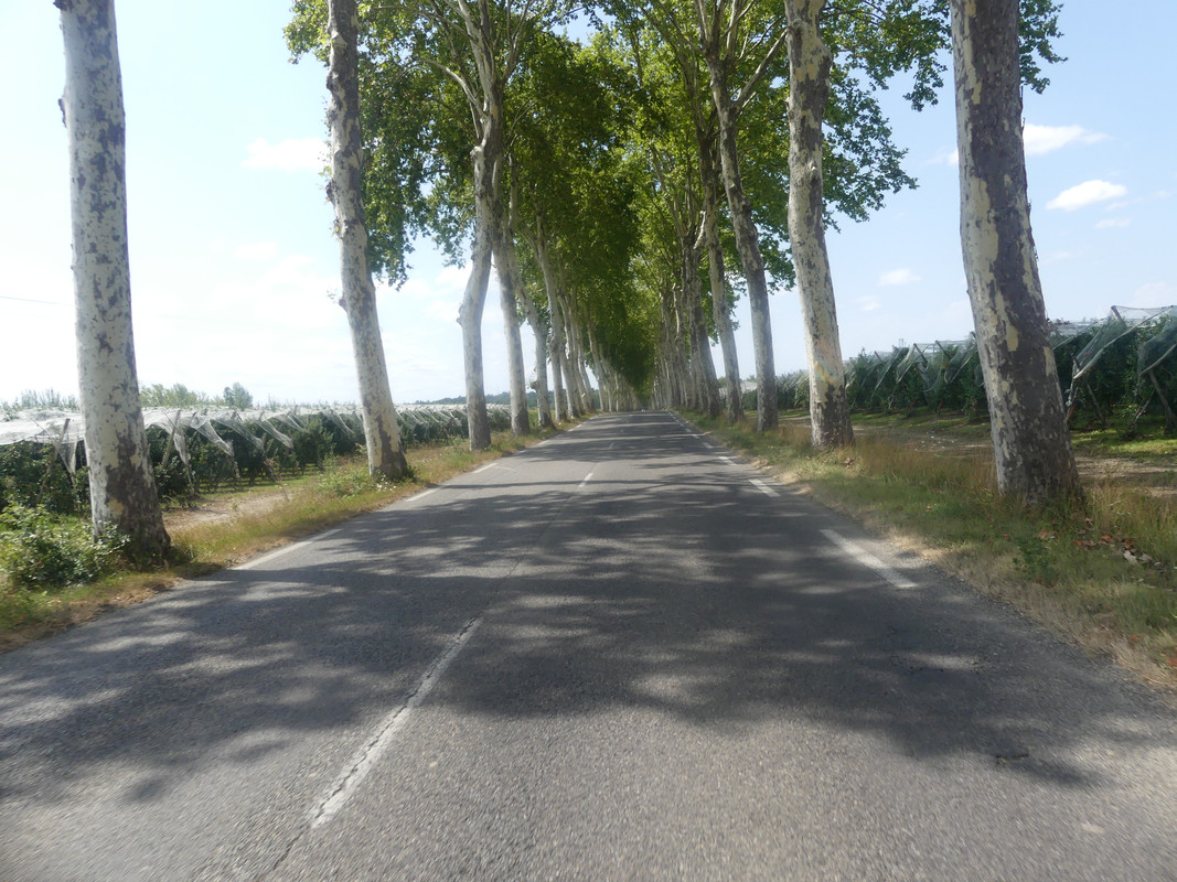 13 aout Montauban Puycasquier (5)