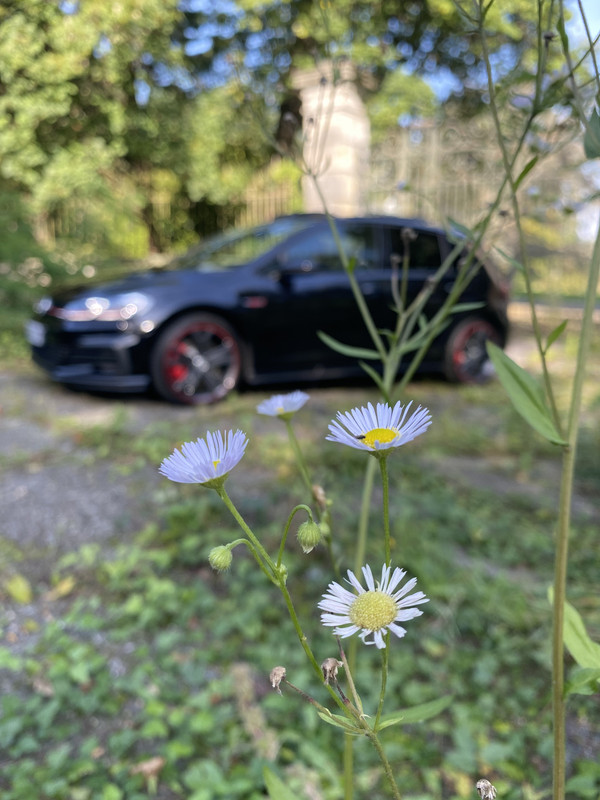 20F89E33-1665-414E-9610-7FA444AA2B6A