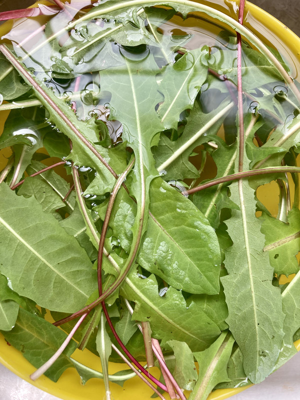 6649D85A-49AB-4FB1-8F4F-FE6AEF1C1128