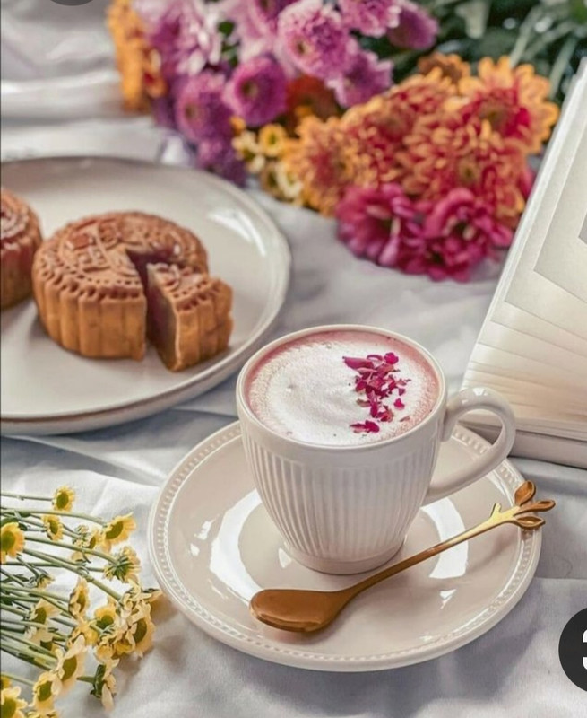 Screenshot_20230219_201520_Pinterest