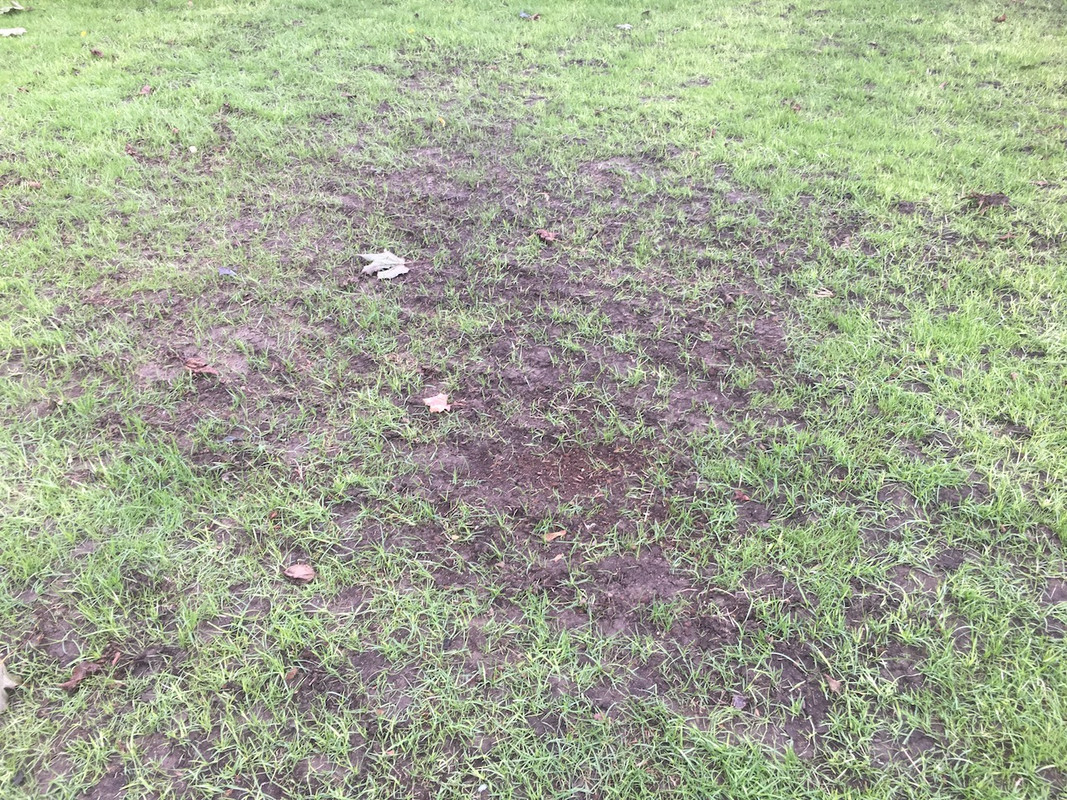 2017_Backyard_Reno_Day_36_Problem_1_small