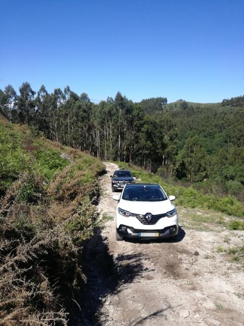 IMG-20190519-131331.jpg