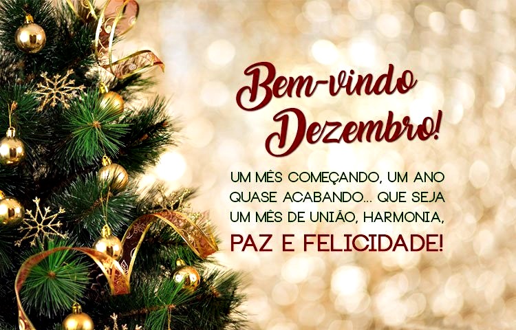 bem-vindo-dezembro-323288d3b5253c2a3df8a