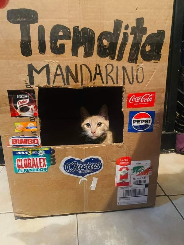 35.jpg
