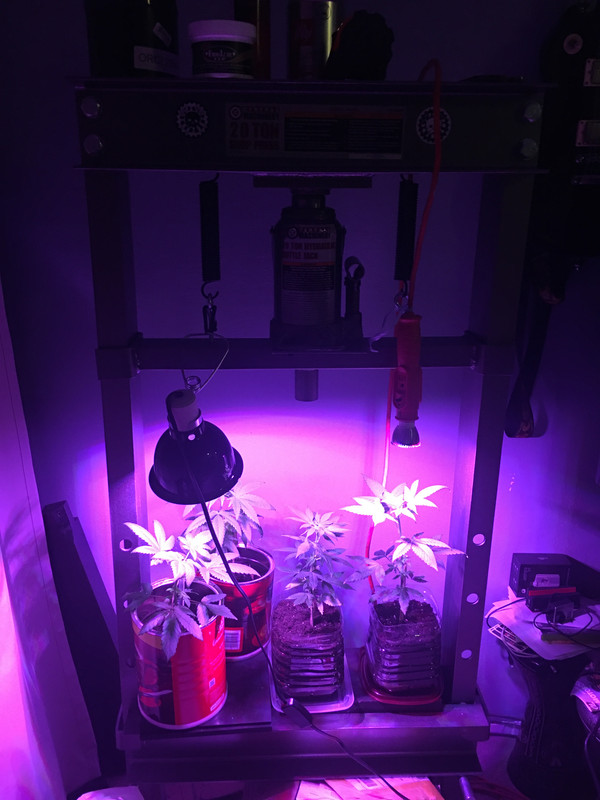 DA005880-6ABB-411F-B2FC-C339D4536007