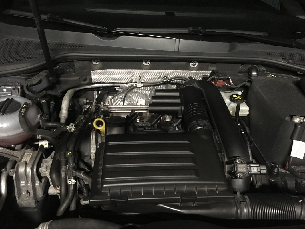 Carter Golf 15 juillet 18 (2)