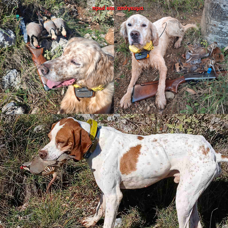 Dofoto 20251210 213913547