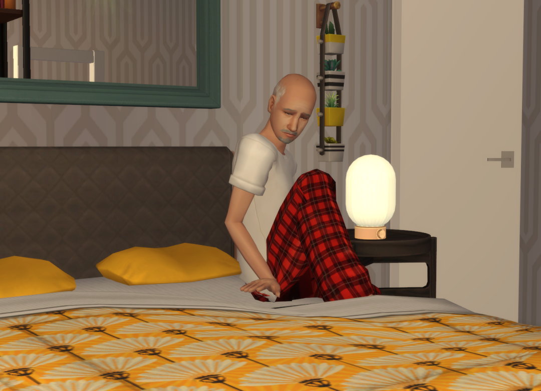 Sims2-EP9-RPC-2025-01-01-20-08-20-64