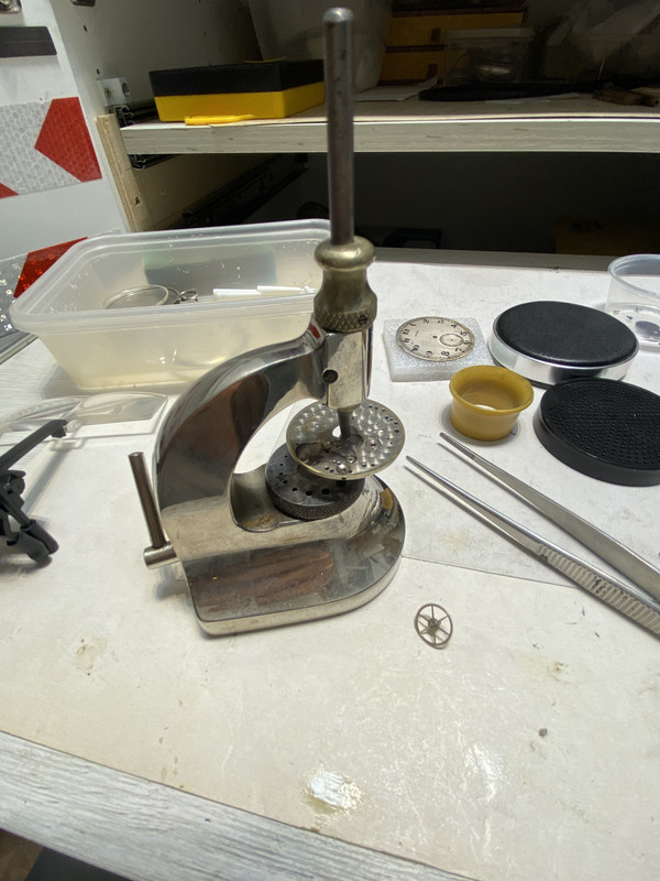 IMG-1368.jpg