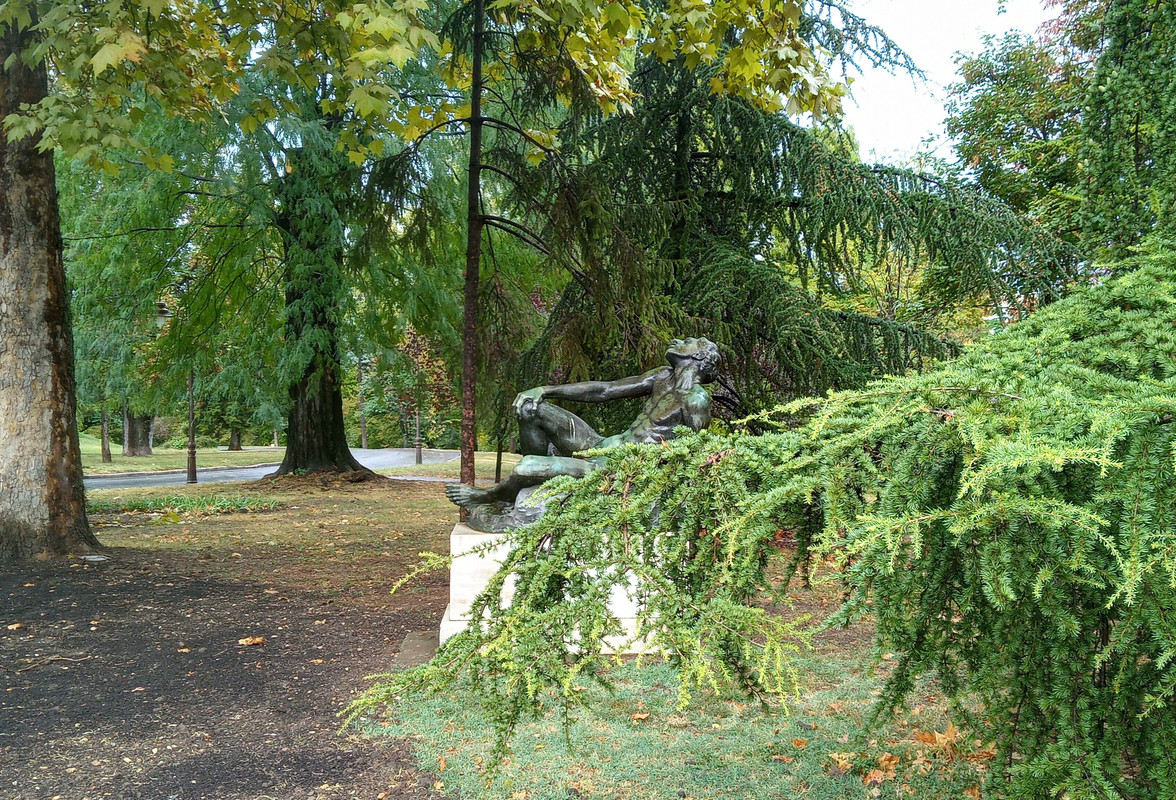 20200926_133036_HDR(1)