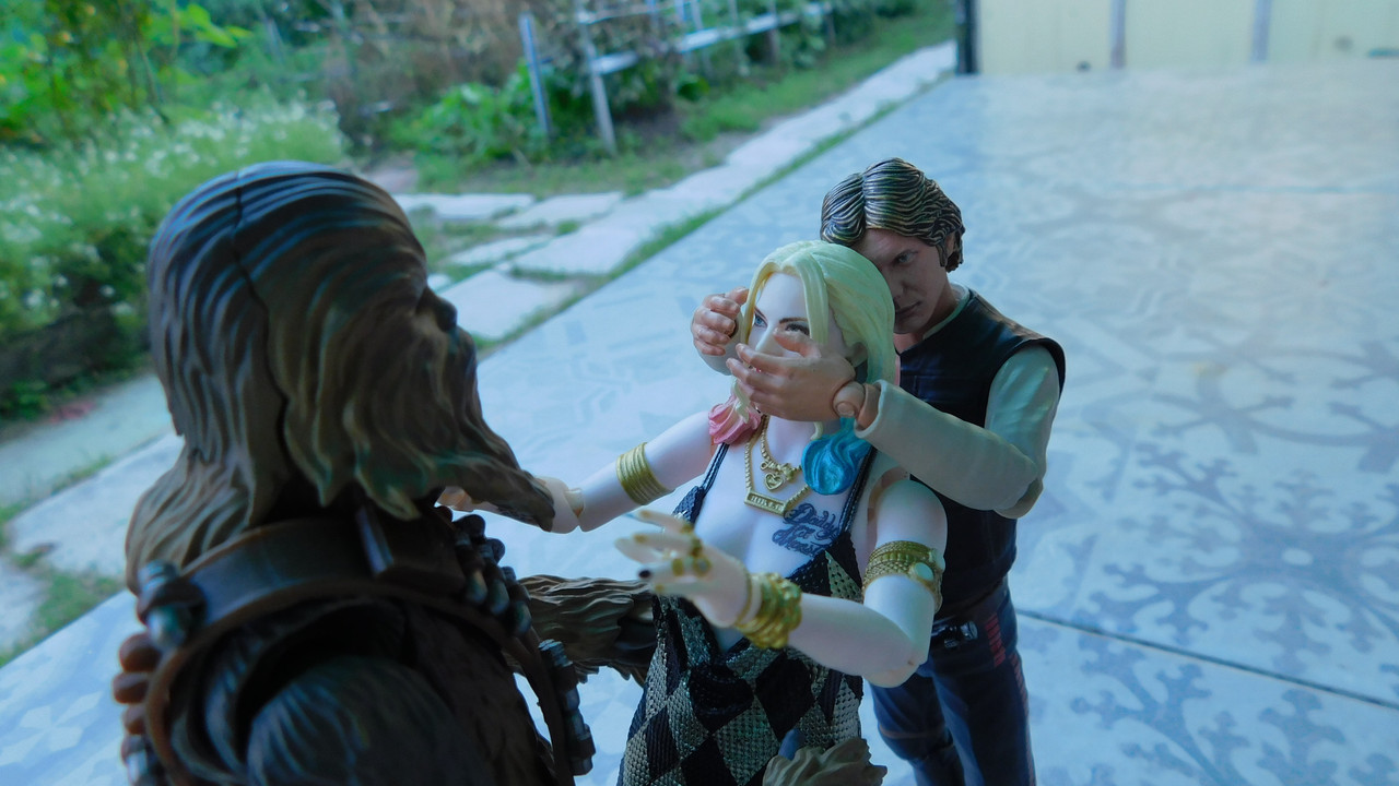 Дачно-барбейское июль, Харлинское 2-я серия 218