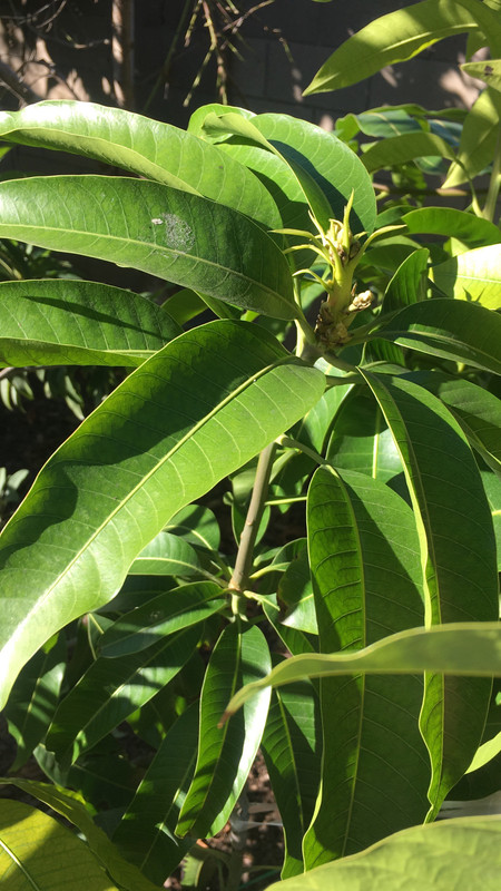 C2102BD6-77F3-4F85-A9B2-C4C6FB2ADBD3