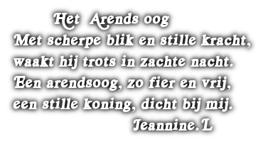 cooltext500291418717816