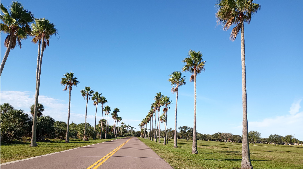 [Image: Florida4.jpg]