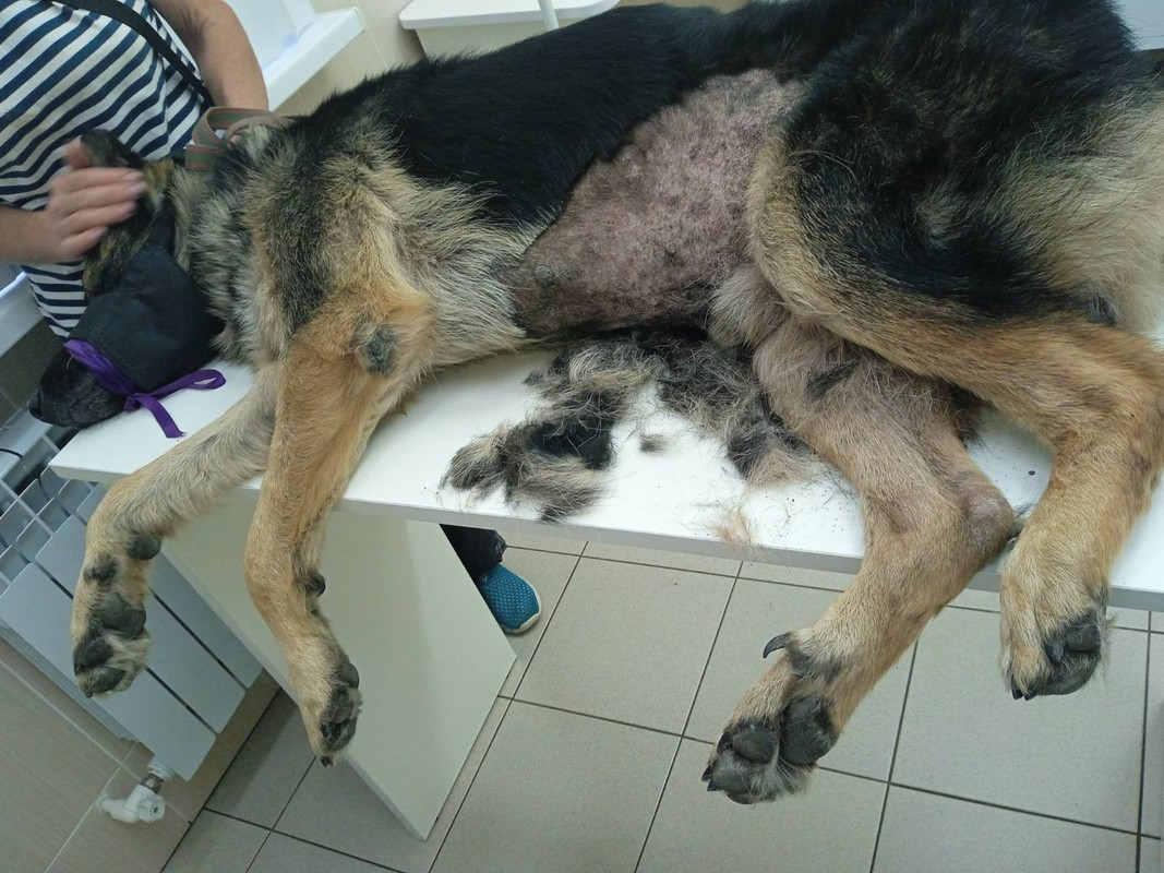 B795FEFE-56E5-45F2-B152-F0FFDC56138E