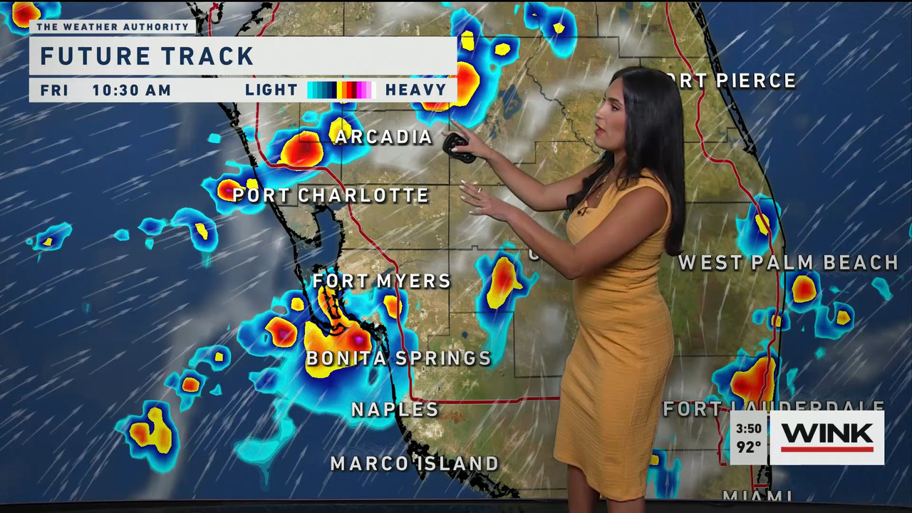 06.15 - 20.00.00 - WINK News at 3pm..ts_snapshot_00.53.23.330