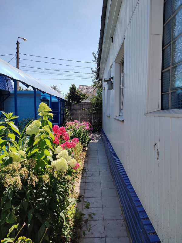 photo_2022-08-16_15-36-21 (2)