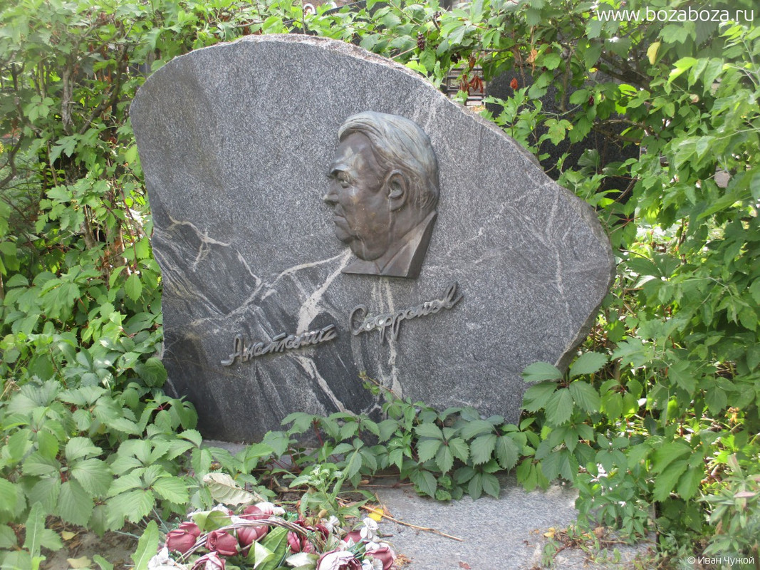 1911-1990