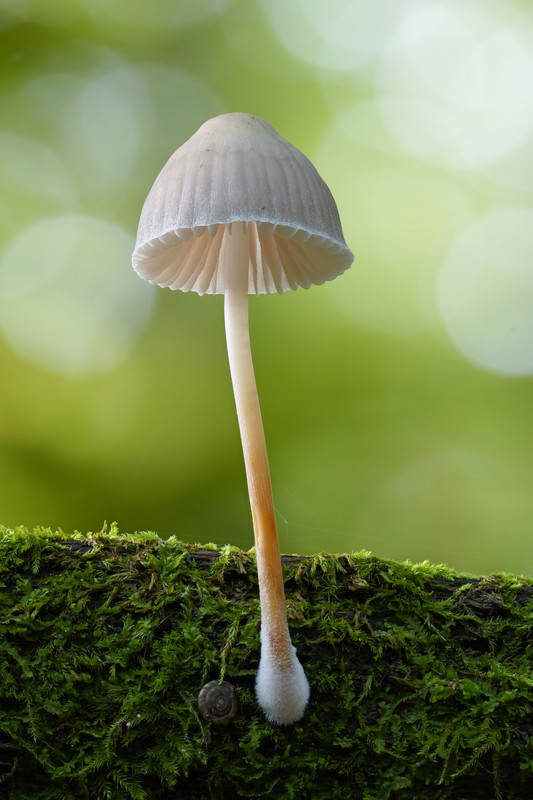 2025-10-12 11-39-54 (A,R5,S3)