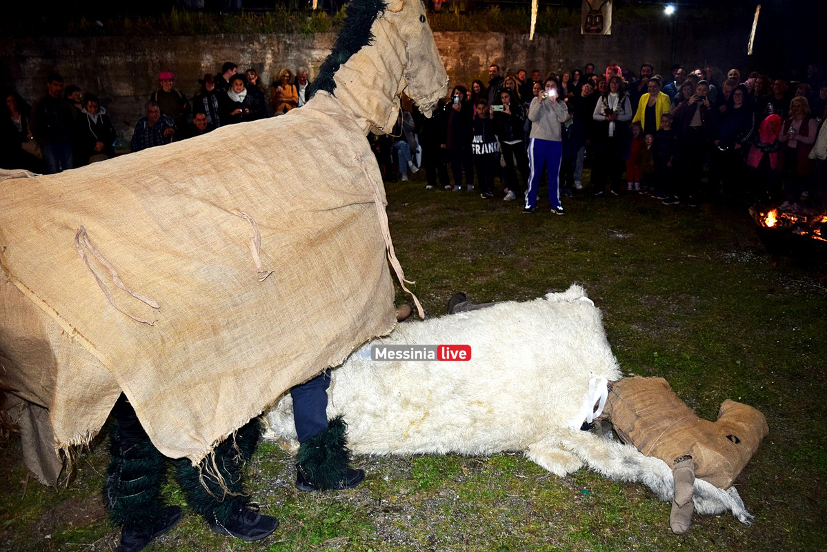 ελαιοχωριDSC_0672