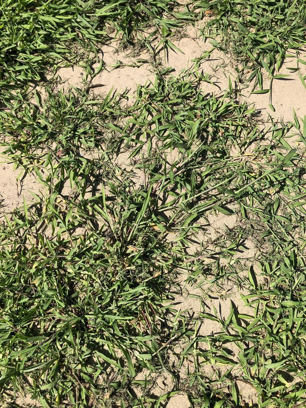 D5E846A9-97FD-4952-B668-BEFA54122063