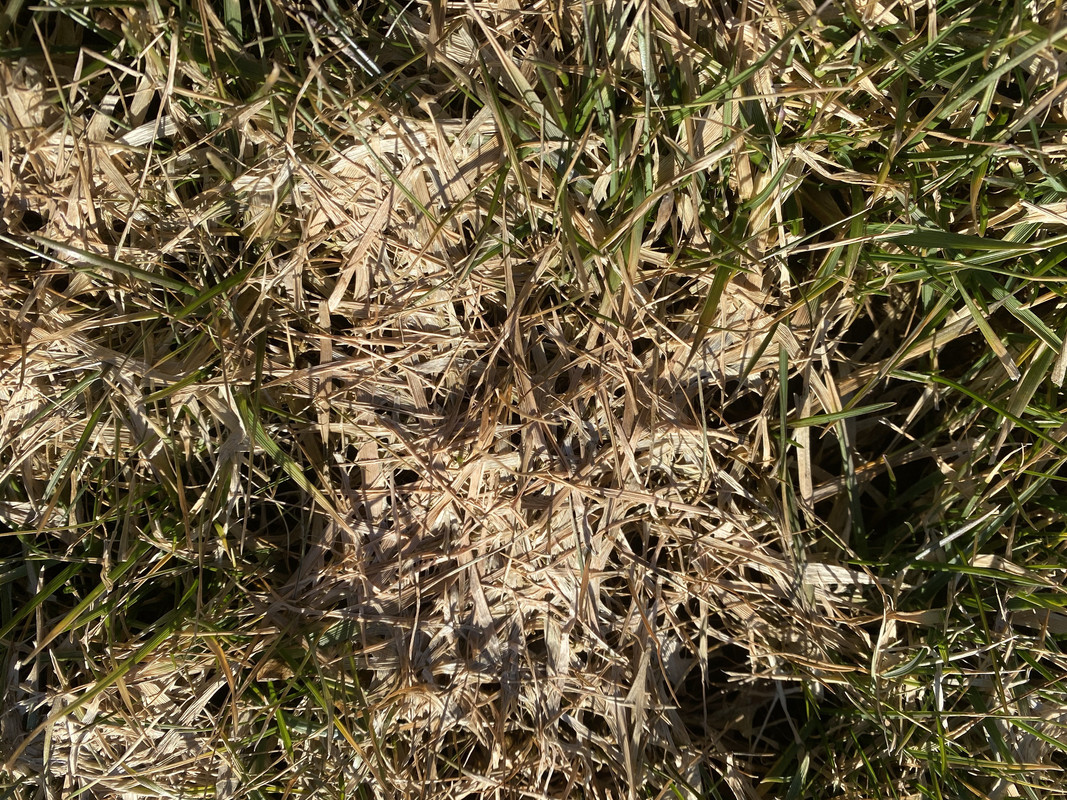 AD239334-C2C1-4854-A747-507E95C07136