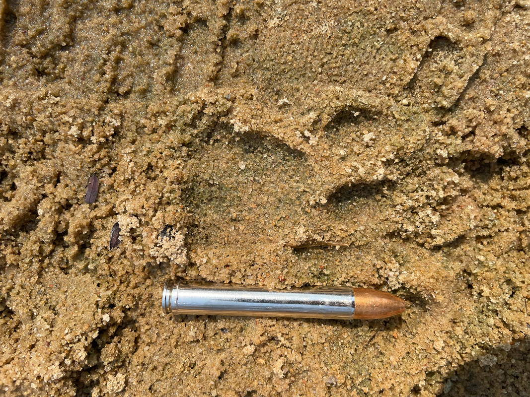 CC084EEE-603C-454A-8974-00EA06313554