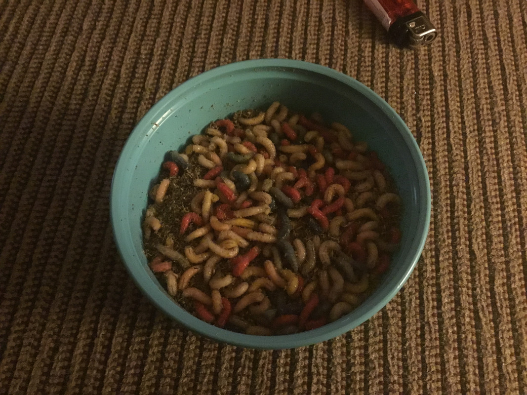 DE199005-356D-457F-8958-59ADEB5901E1