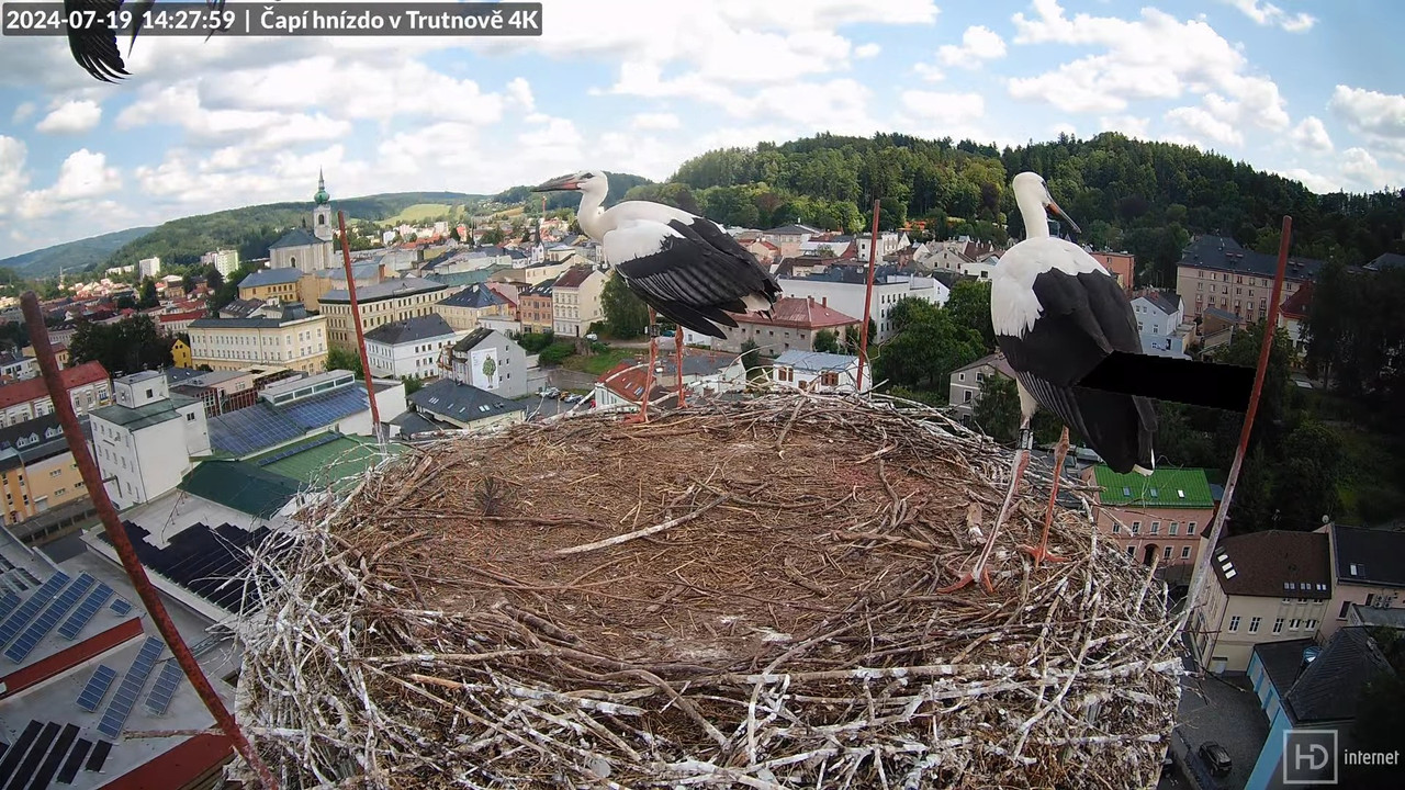 Tiešraidē no stārķa ligzdas uz alus darītavas skursteņa Trutnovā 15-48-12 screenshot