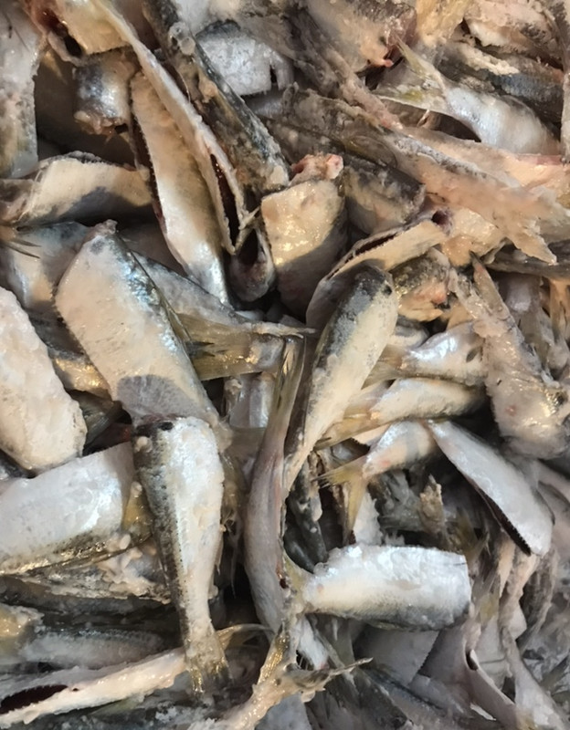 BCF2F148-220B-415C-923A-D335BC1140C6