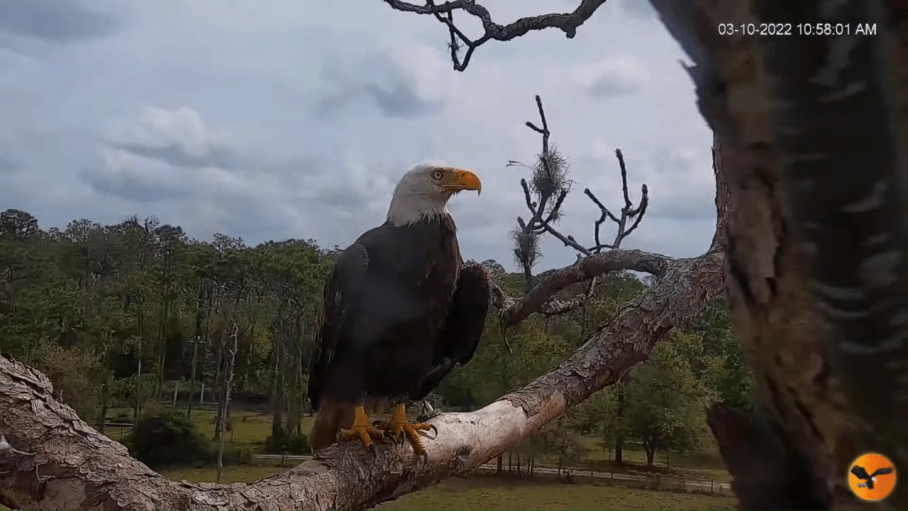 Webp.net-gifmaker (2)