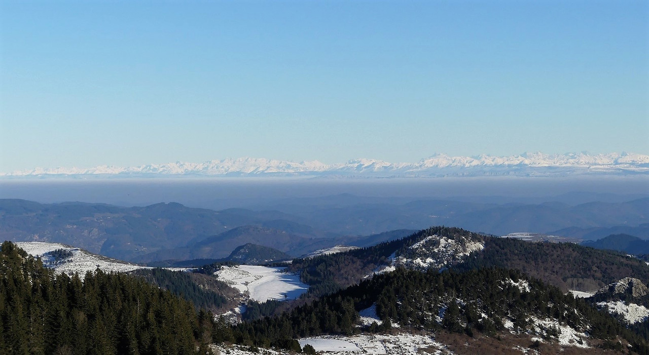 P1080837.jpg