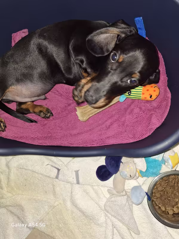 [Image: 20241014-212103.avif]