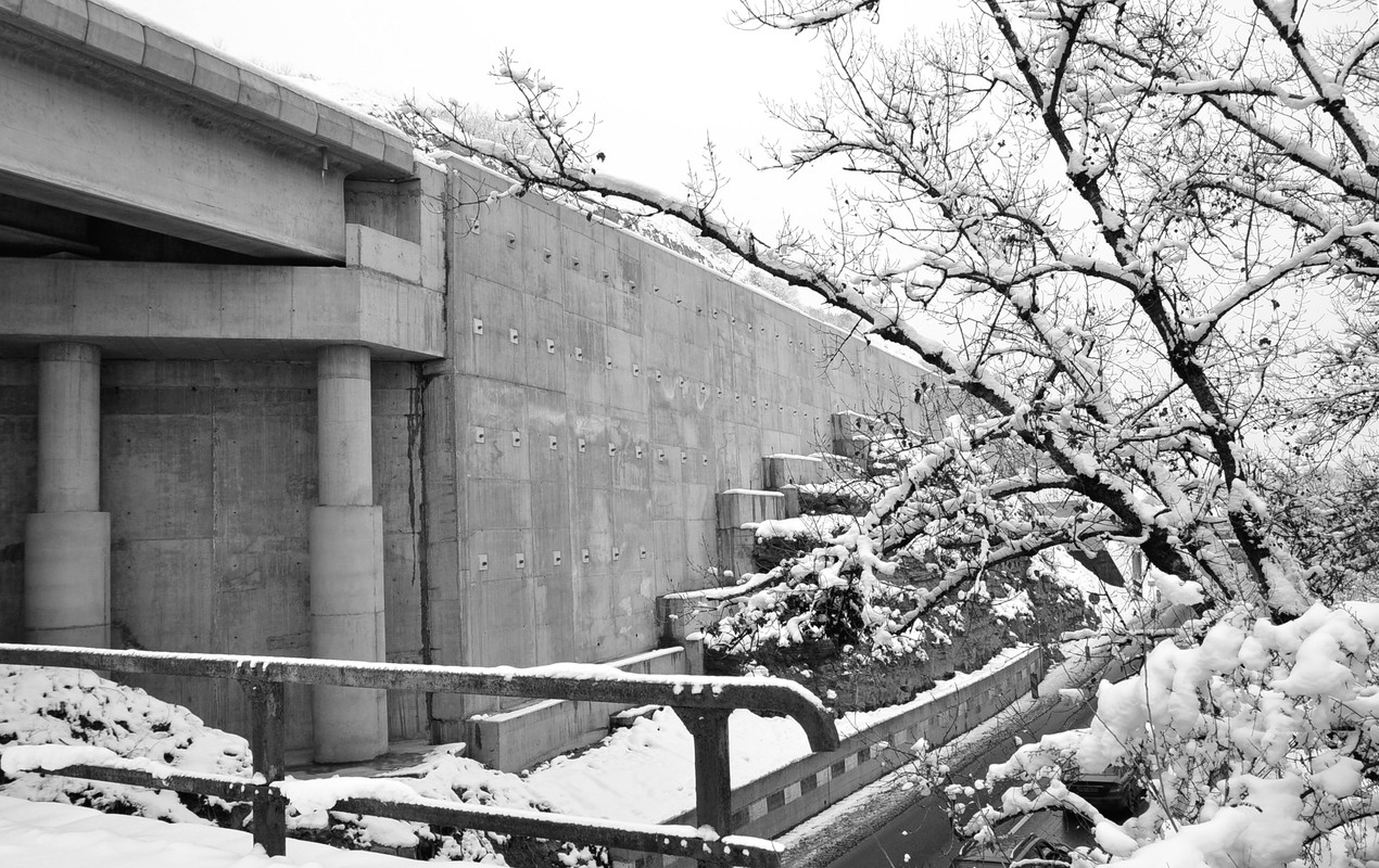 DSC_0194