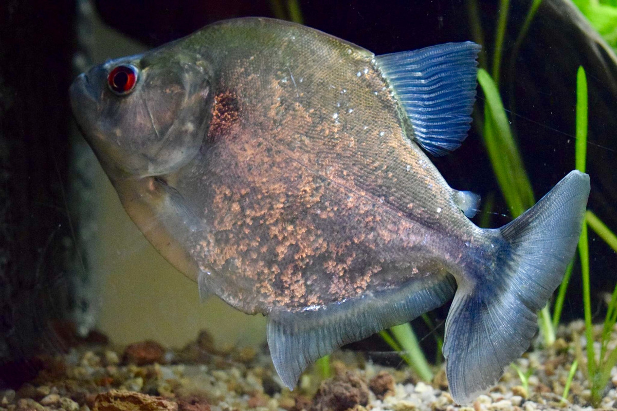 310629C1-847C-46CF-87FB-A764D6A63BBE